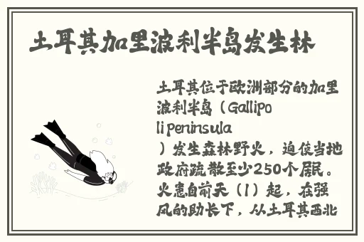 神秘电影5条官方路径最新